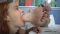 Princess Lizzy First Lesbian Session #1