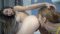 Princess Sabrinna Lesbian Control #1