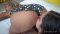 Brunette Mirella Lacerda Lesbian Domination #1