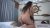 Marrie Big Ass First Fart Experience #1