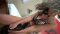 Clara Borges Fucks Pretty Face P#1